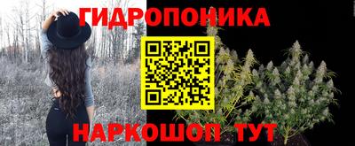 амф Обнинск