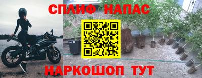 амф Обнинск