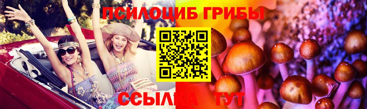 COCAIN Симферополь