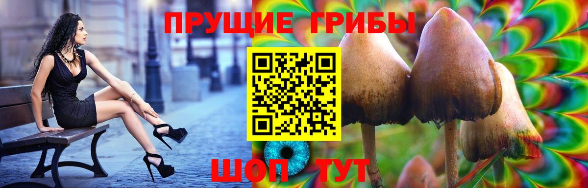 купить наркоту  Галлюциногенные грибы Psilocybe  Вход с VPN  Симферополь  Псилоцибиновые грибы Magic Shrooms 